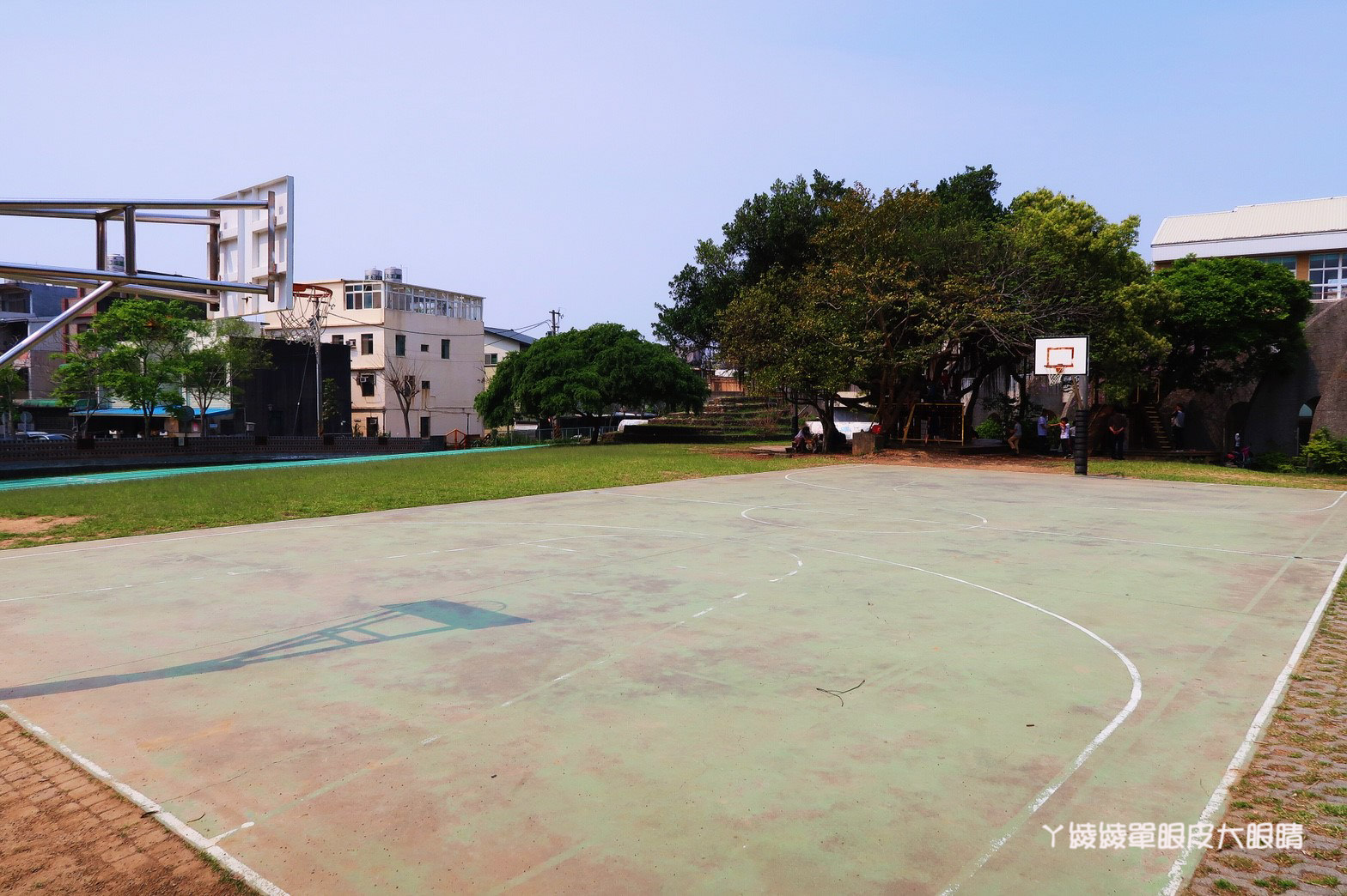 新竹免費旅遊景點推薦！陽光國小紫藤花開了！兩層樓高的彩虹溜滑梯