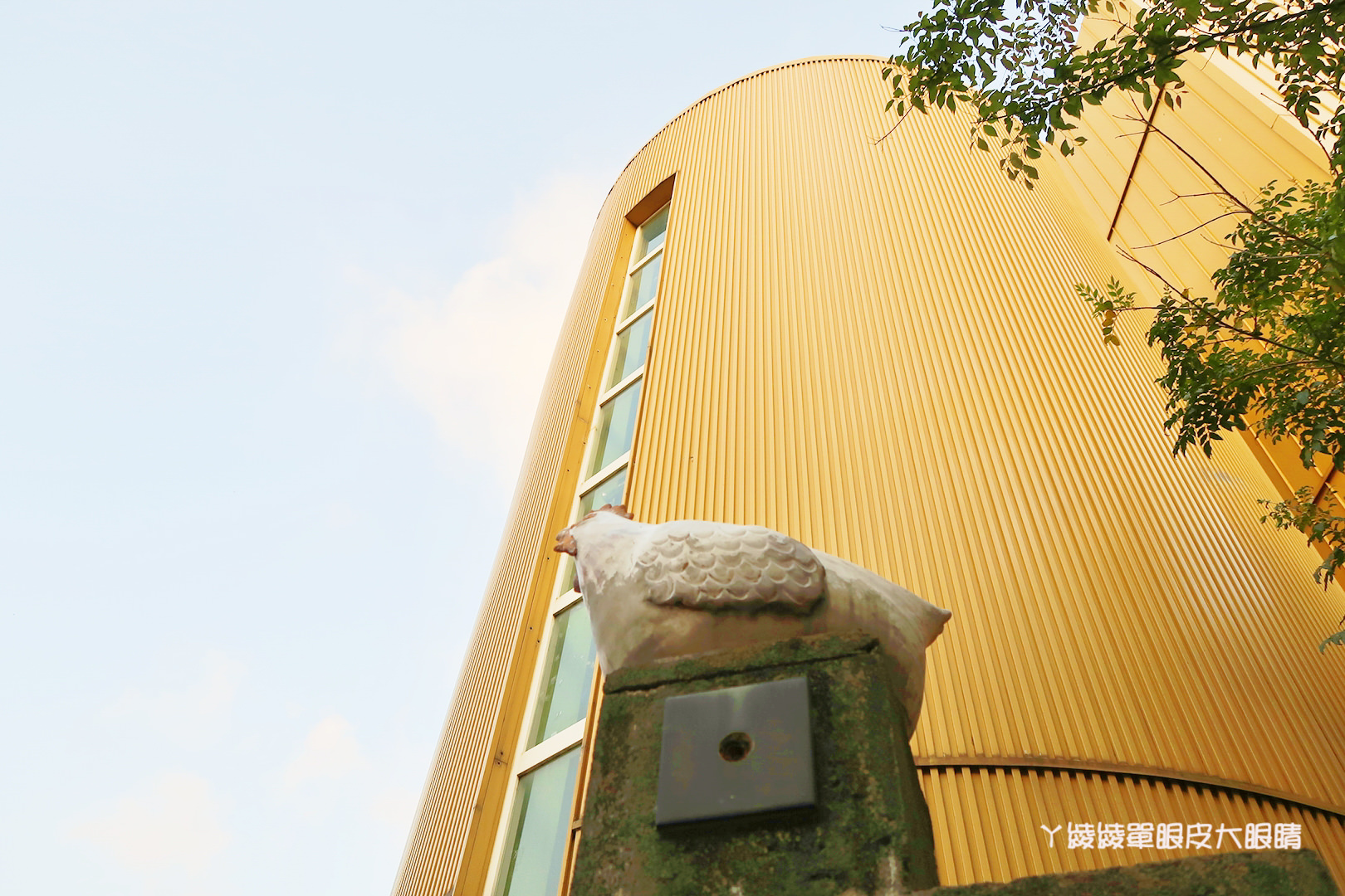 新竹免費旅遊景點推薦！陽光國小紫藤花開了！兩層樓高的彩虹溜滑梯