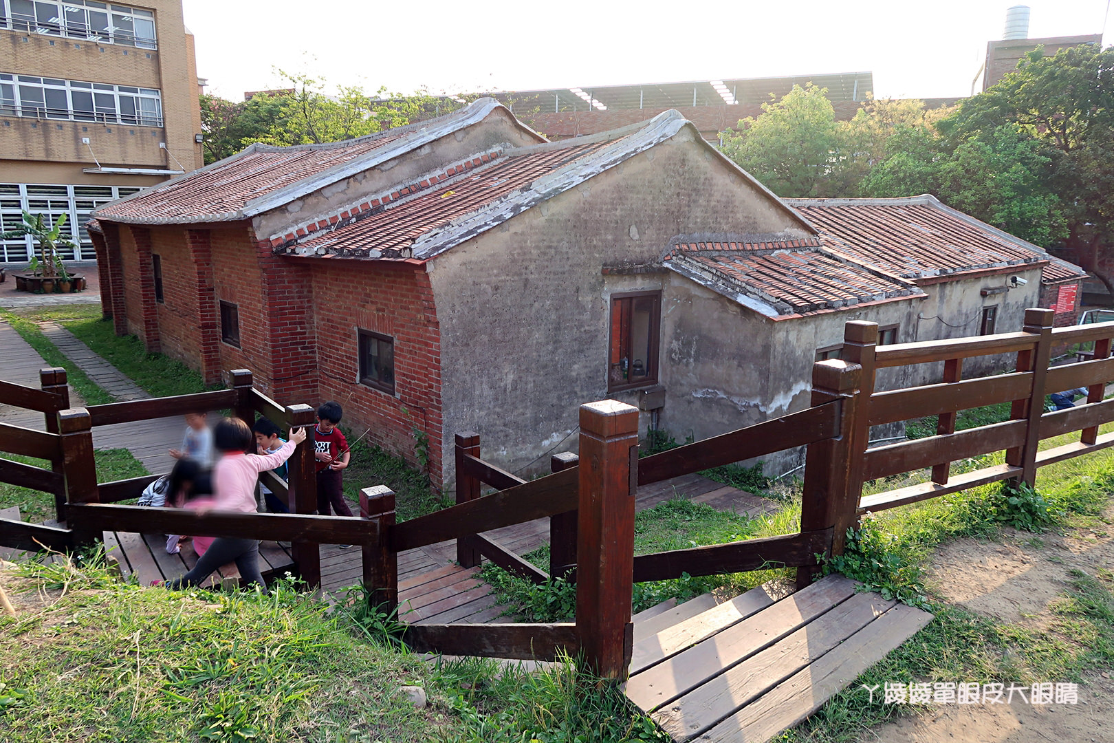 新竹免費旅遊景點推薦！陽光國小紫藤花開了！兩層樓高的彩虹溜滑梯