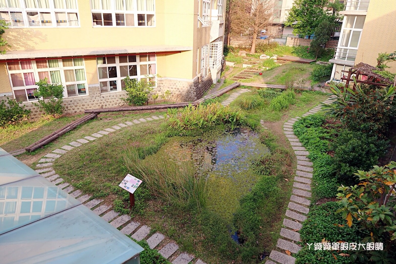 新竹免費旅遊景點推薦！陽光國小紫藤花開了！兩層樓高的彩虹溜滑梯