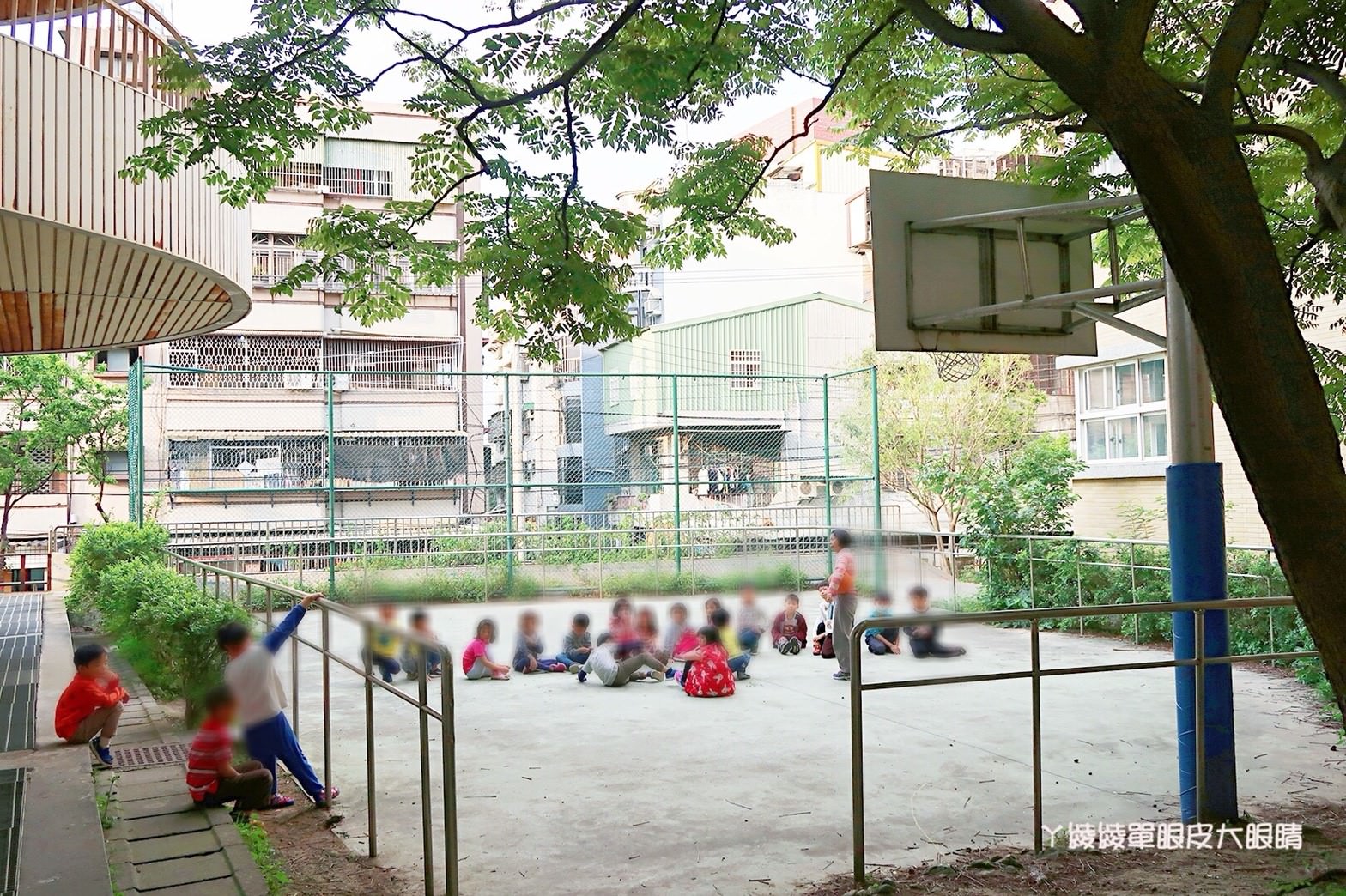 新竹免費旅遊景點推薦！陽光國小紫藤花開了！兩層樓高的彩虹溜滑梯