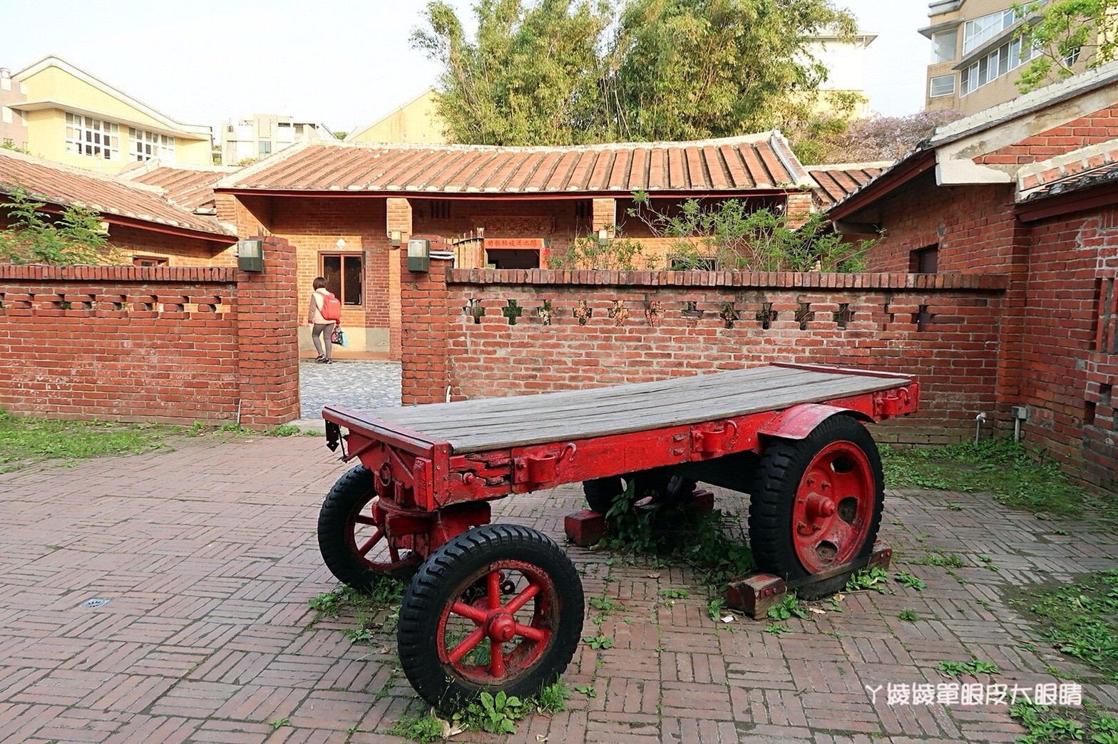 新竹免費旅遊景點推薦！陽光國小紫藤花開了！兩層樓高的彩虹溜滑梯