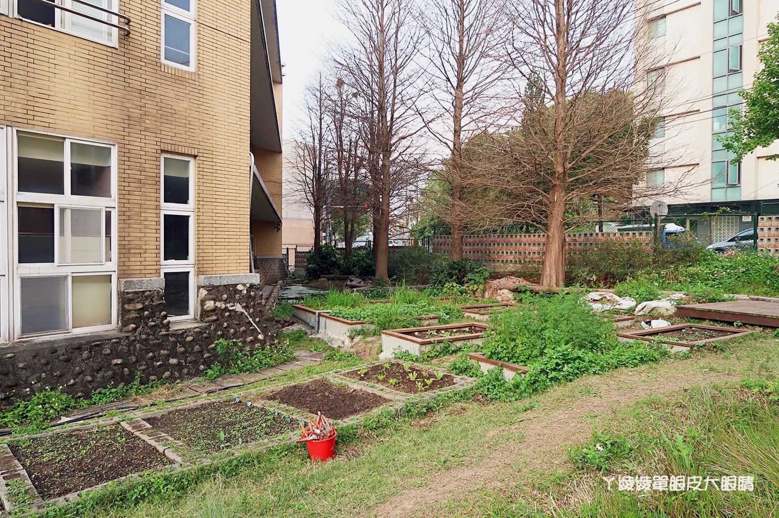 新竹免費旅遊景點推薦！陽光國小紫藤花開了！兩層樓高的彩虹溜滑梯