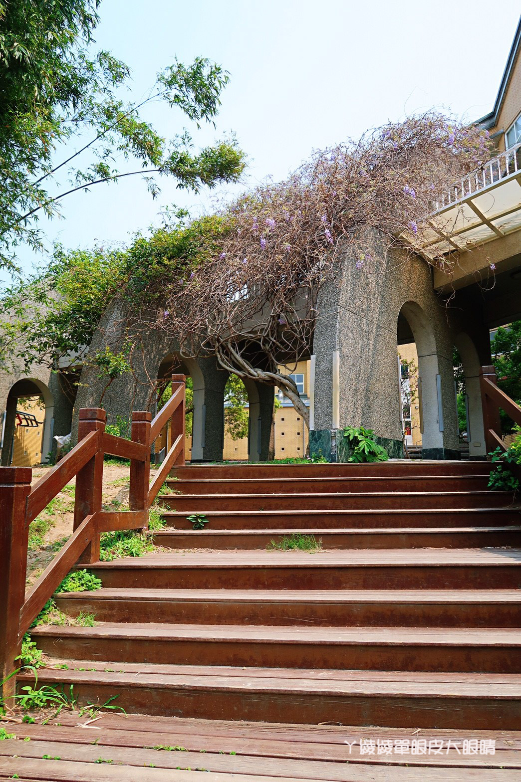 新竹免費旅遊景點推薦！陽光國小紫藤花開了！兩層樓高的彩虹溜滑梯