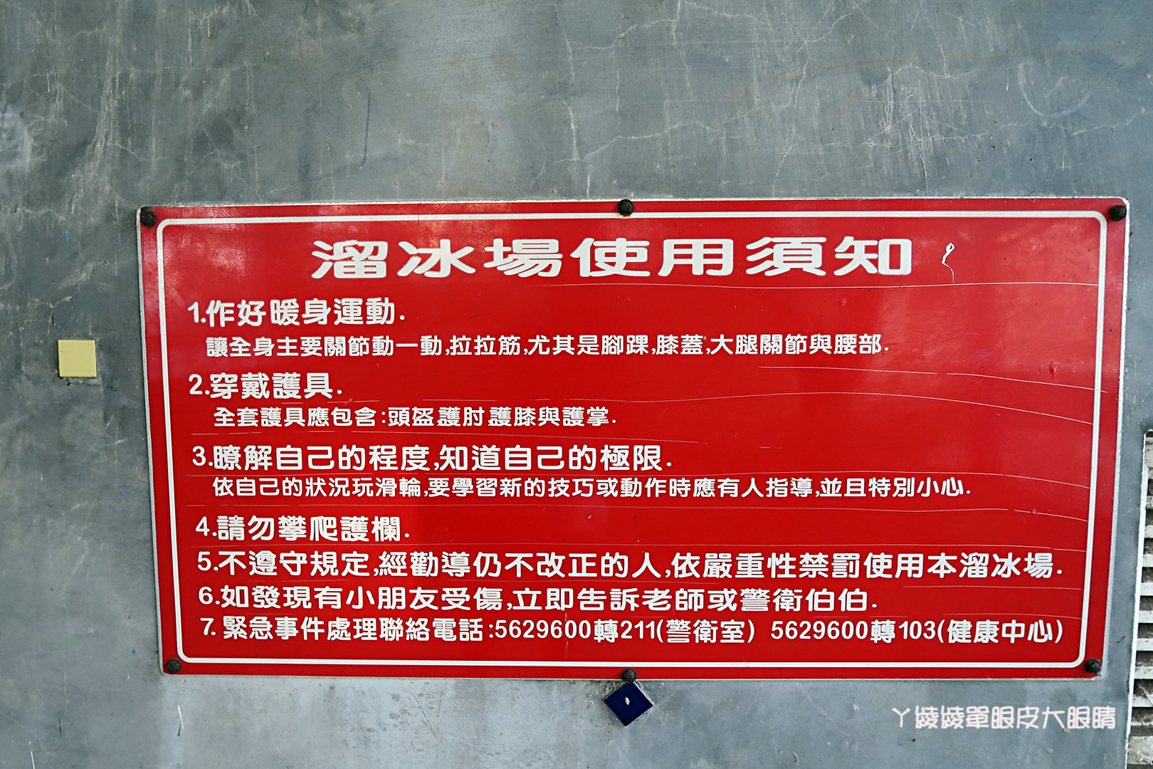 新竹免費旅遊景點推薦！陽光國小紫藤花開了！兩層樓高的彩虹溜滑梯