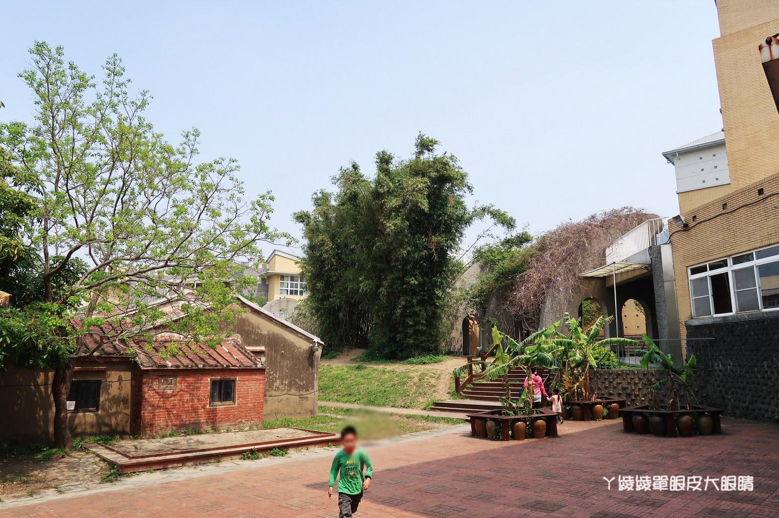 新竹免費旅遊景點推薦！陽光國小紫藤花開了！兩層樓高的彩虹溜滑梯