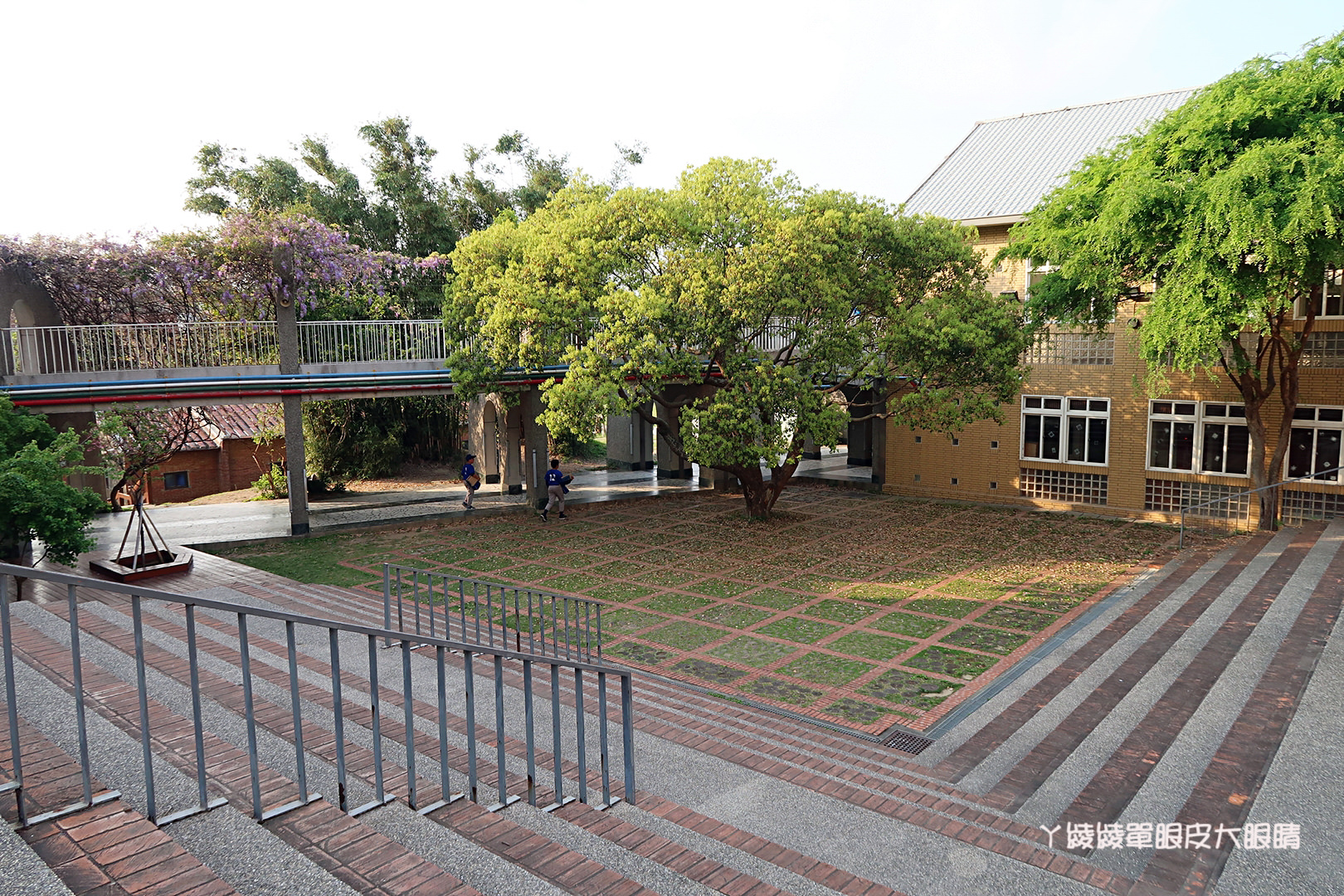 新竹免費旅遊景點推薦！陽光國小紫藤花開了！兩層樓高的彩虹溜滑梯