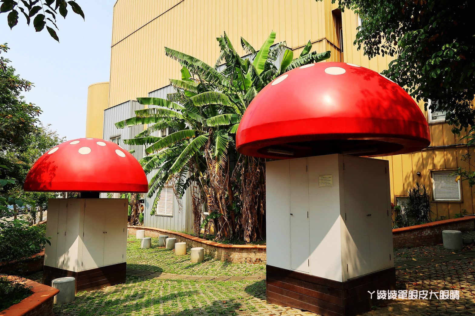 新竹免費旅遊景點推薦！陽光國小紫藤花開了！兩層樓高的彩虹溜滑梯