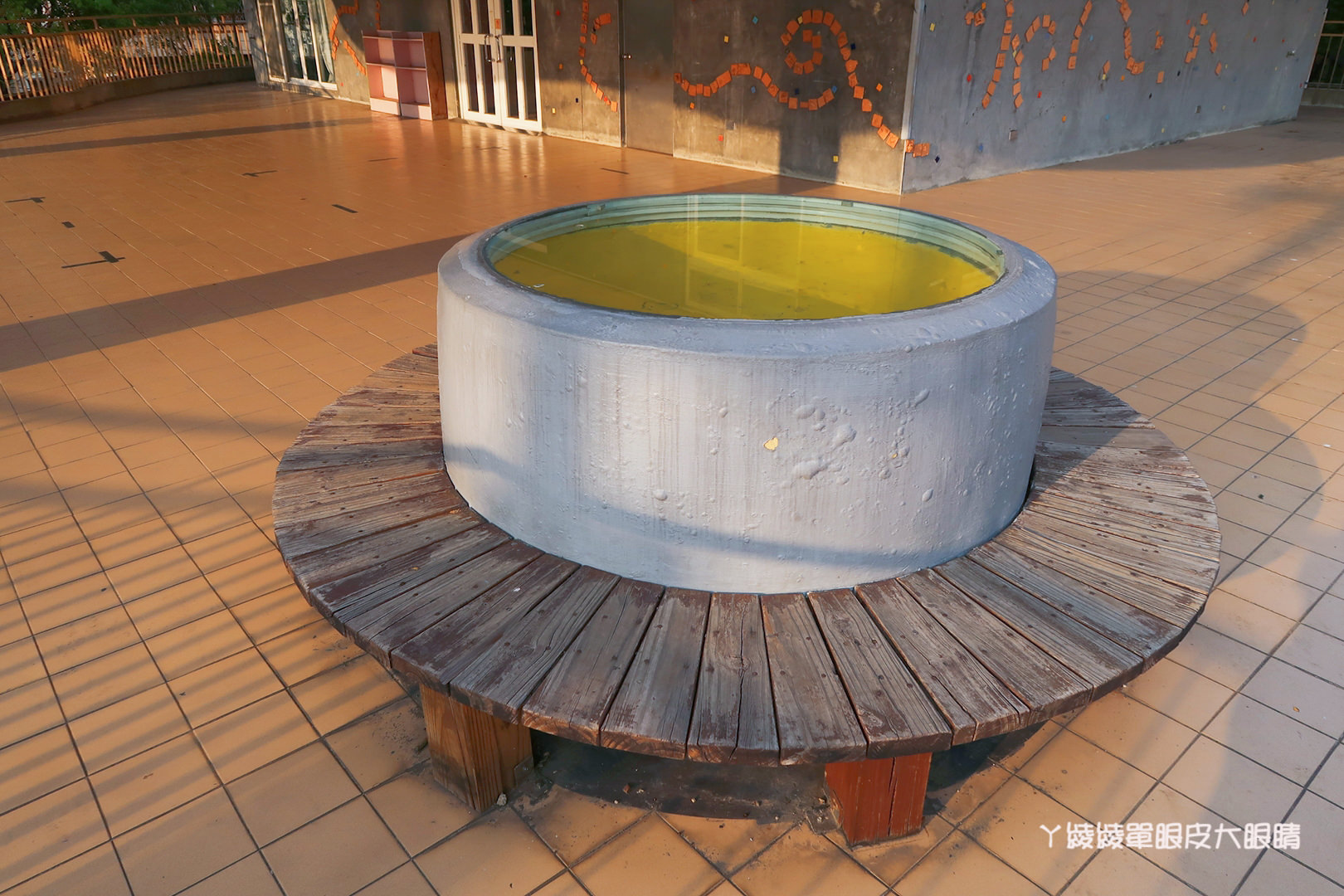 新竹免費旅遊景點推薦！陽光國小紫藤花開了！兩層樓高的彩虹溜滑梯