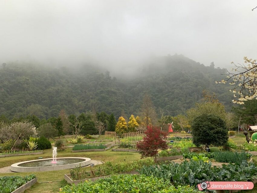 落羽松、櫻花、螢火蟲、繡球花到楓葉,一年四季都有不同自然風景的溫泉度假村。苗栗南庄住宿推薦。丹尼的吃喝玩樂~