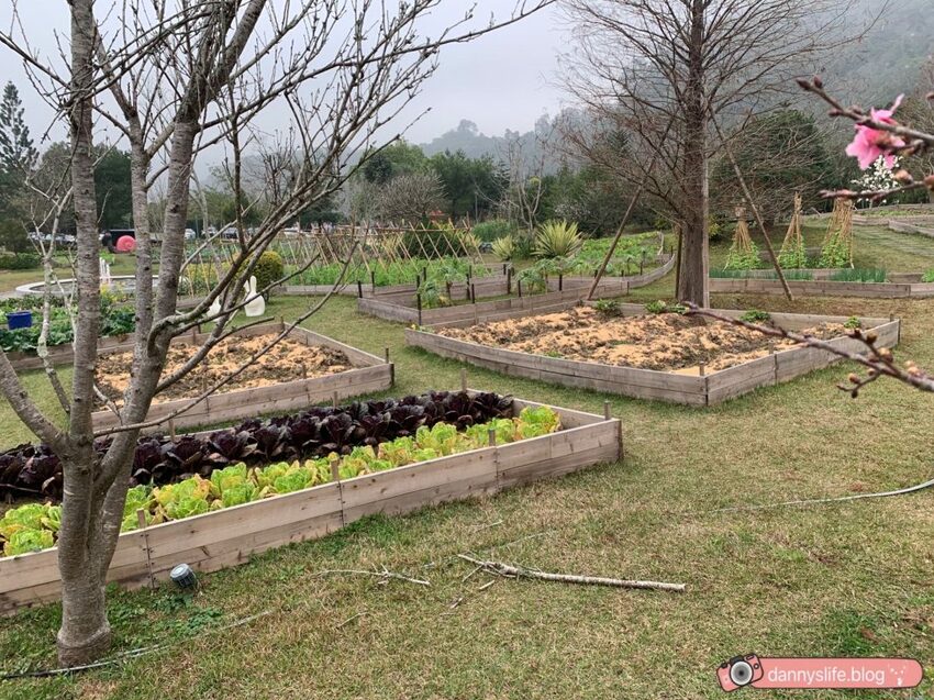 落羽松、櫻花、螢火蟲、繡球花到楓葉,一年四季都有不同自然風景的溫泉度假村。苗栗南庄住宿推薦。丹尼的吃喝玩樂~