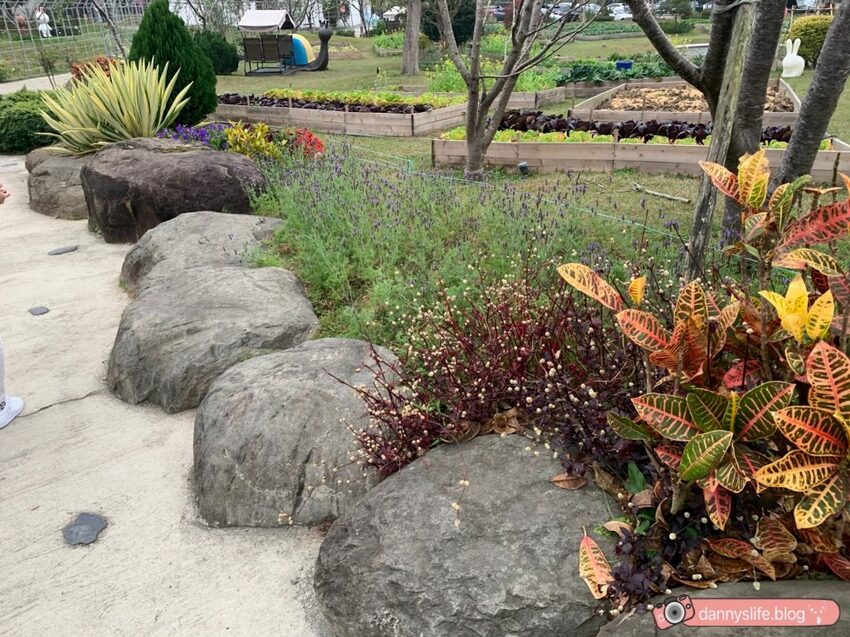 落羽松、櫻花、螢火蟲、繡球花到楓葉,一年四季都有不同自然風景的溫泉度假村。苗栗南庄住宿推薦。丹尼的吃喝玩樂~