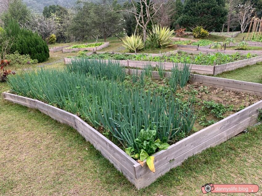 落羽松、櫻花、螢火蟲、繡球花到楓葉,一年四季都有不同自然風景的溫泉度假村。苗栗南庄住宿推薦。丹尼的吃喝玩樂~