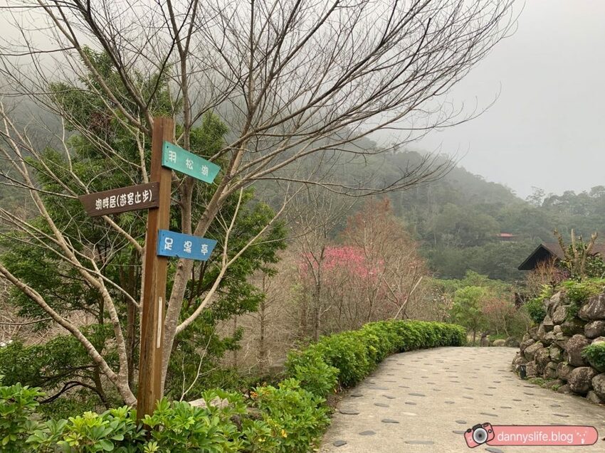 落羽松、櫻花、螢火蟲、繡球花到楓葉,一年四季都有不同自然風景的溫泉度假村。苗栗南庄住宿推薦。丹尼的吃喝玩樂~