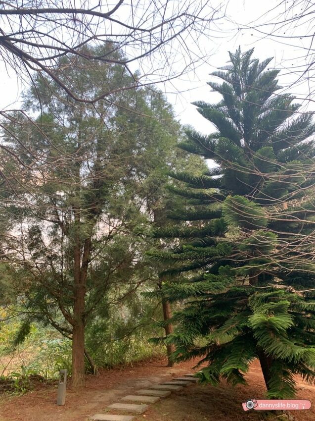 落羽松、櫻花、螢火蟲、繡球花到楓葉,一年四季都有不同自然風景的溫泉度假村。苗栗南庄住宿推薦。丹尼的吃喝玩樂~