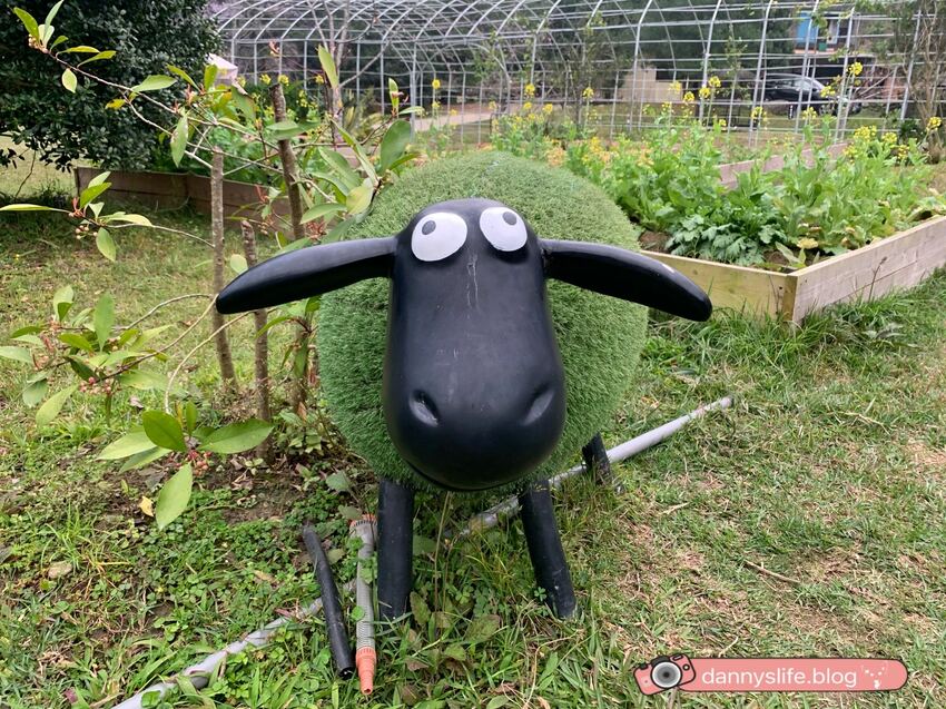 落羽松、櫻花、螢火蟲、繡球花到楓葉,一年四季都有不同自然風景的溫泉度假村。苗栗南庄住宿推薦。丹尼的吃喝玩樂~