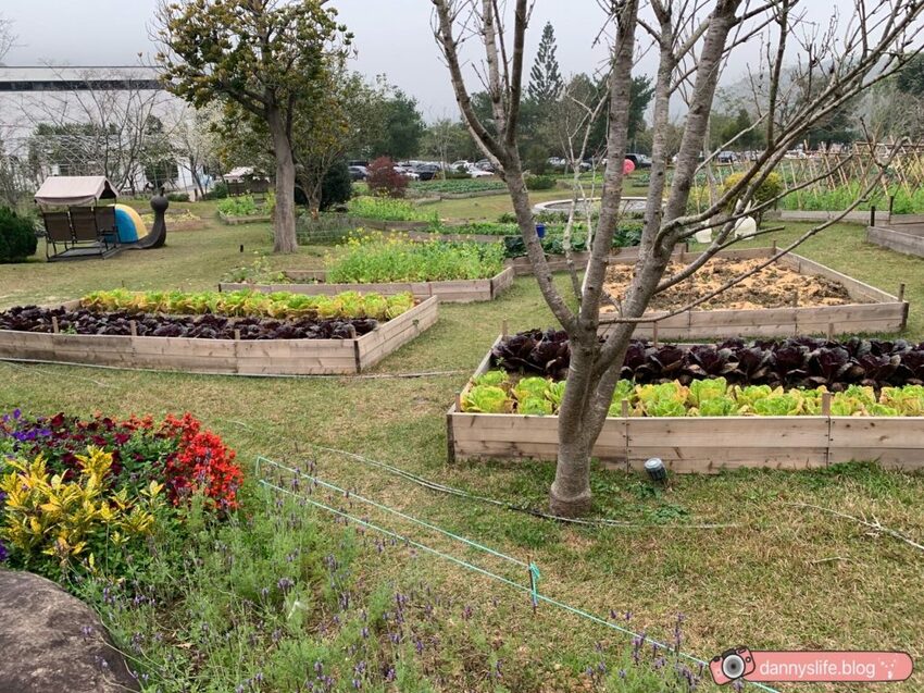落羽松、櫻花、螢火蟲、繡球花到楓葉,一年四季都有不同自然風景的溫泉度假村。苗栗南庄住宿推薦。丹尼的吃喝玩樂~