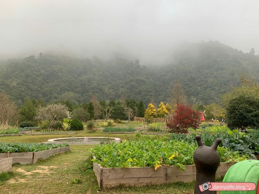 落羽松、櫻花、螢火蟲、繡球花到楓葉,一年四季都有不同自然風景的溫泉度假村。苗栗南庄住宿推薦。丹尼的吃喝玩樂~