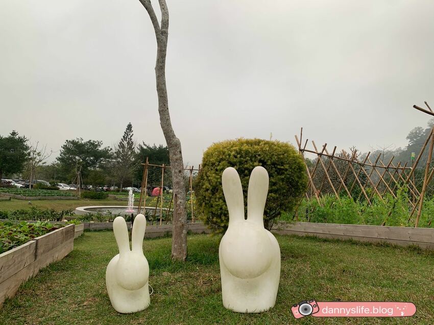 落羽松、櫻花、螢火蟲、繡球花到楓葉,一年四季都有不同自然風景的溫泉度假村。苗栗南庄住宿推薦。丹尼的吃喝玩樂~