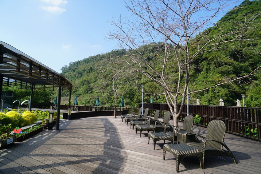 苗栗南庄景點 落羽松 雲水渡假森林 可泡湯住宿