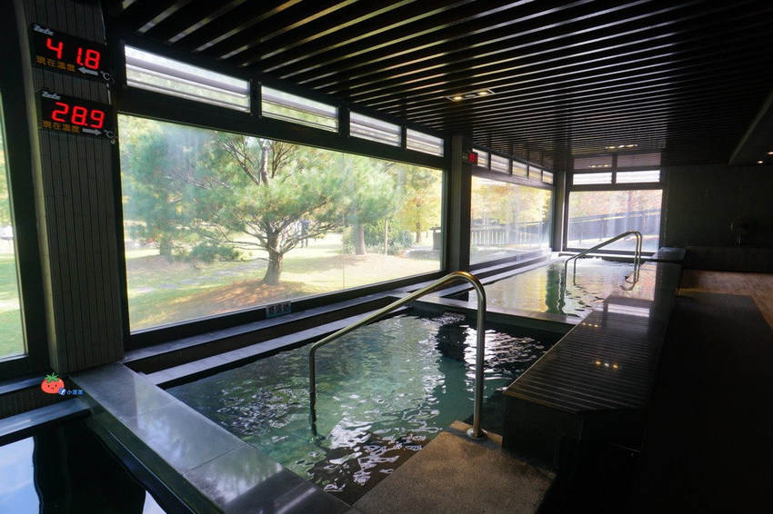 苗栗南庄景點 落羽松 雲水渡假森林 可泡湯住宿