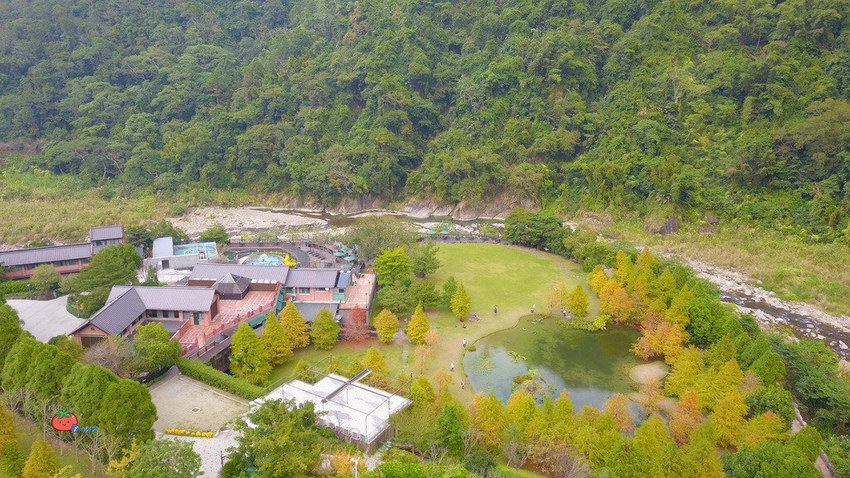 苗栗南庄景點 落羽松 雲水渡假森林 可泡湯住宿