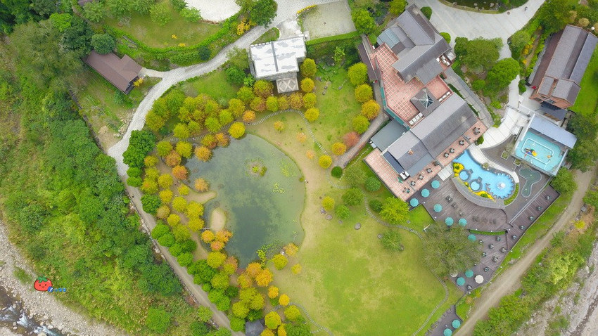 苗栗南庄景點 落羽松 雲水渡假森林 可泡湯住宿