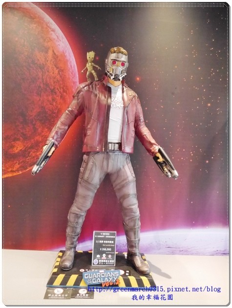 P9170256 (465x620).jpg