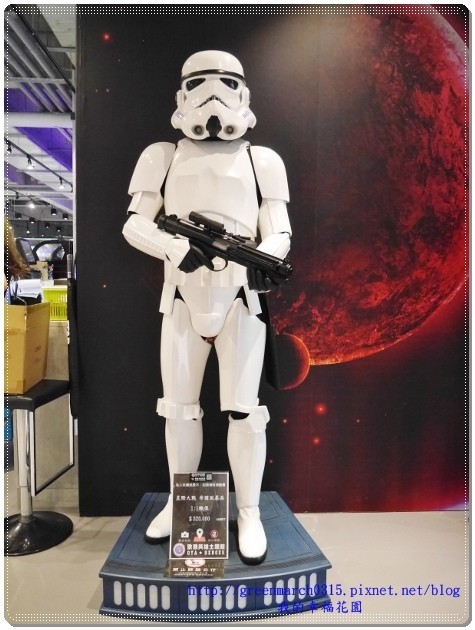 P9170255 (465x620).jpg