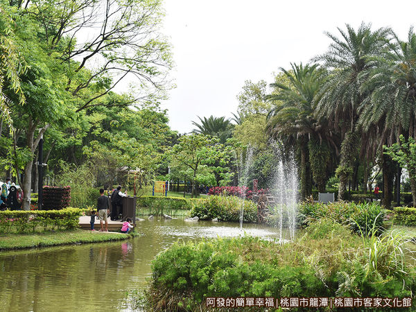 桃園市客家文化館28-生態公園中的池塘