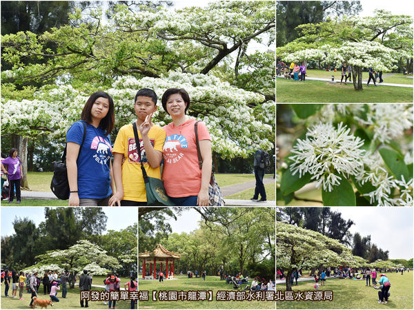 桃園市龍潭-經濟部水利署北區水資源局-all