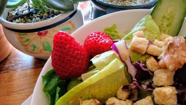 49545965_2215406741824336_8853572964667359232_n