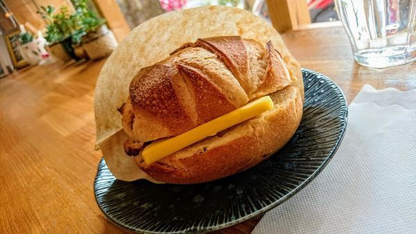 50294472_2237091846322492_7382421888397475840_n