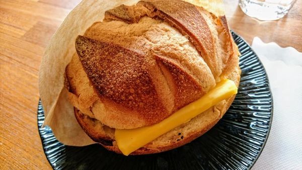 50730837_2237091996322477_7683518015178014720_n