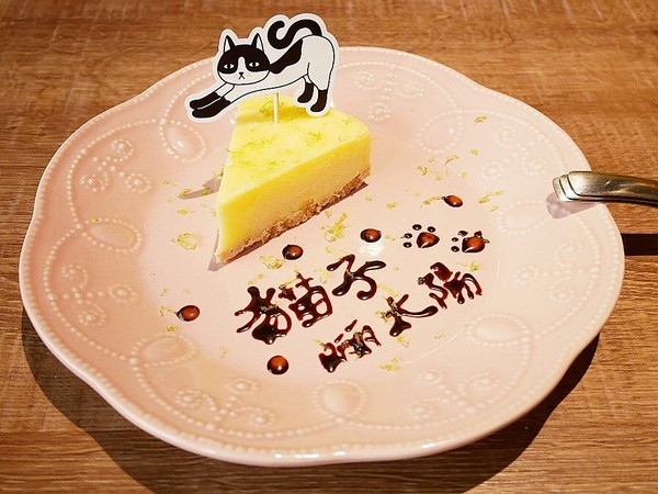 貓子曬太陽：貓子曬太陽-新北永和早午餐  同時也是寵物友善餐廳  環境寬敞、餐點選擇多  帶毛小孩用餐的好地方