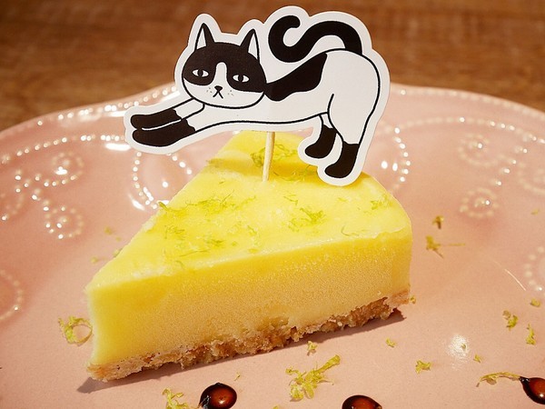 貓子曬太陽：貓子曬太陽-新北永和早午餐  同時也是寵物友善餐廳  環境寬敞、餐點選擇多  帶毛小孩用餐的好地方