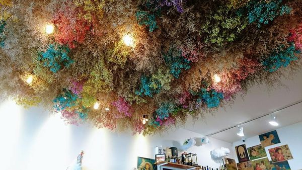 30594503_1843312755700405_5288271563731238912_n