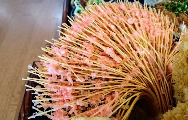 30571489_1843312422367105_8267237429715402752_n