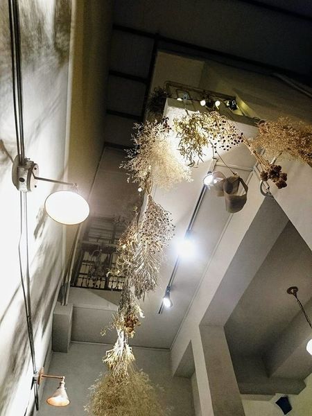 30656632_1844571505574530_2826778140846587904_n