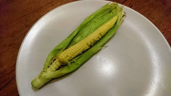 30628905_1844572035574477_5214464440535089152_n