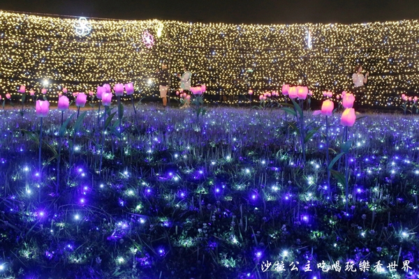 板橋蝴蝶公園：板橋景點/夜景『蝴蝶公園』9萬隻風車/光雕蝴蝶地景/IG打卡熱點/江子翠橫移門