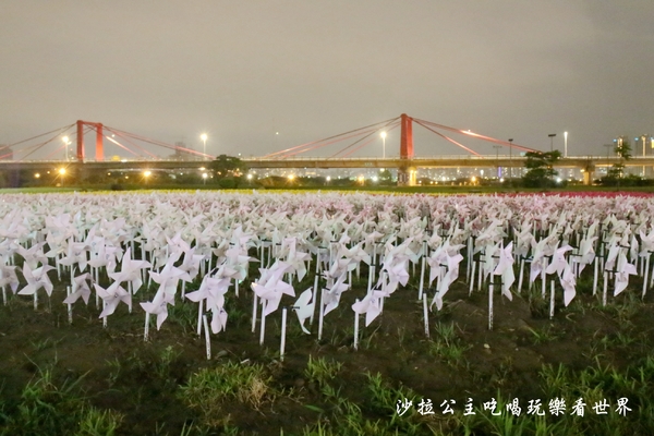 板橋蝴蝶公園：板橋景點/夜景『蝴蝶公園』9萬隻風車/光雕蝴蝶地景/IG打卡熱點/江子翠橫移門