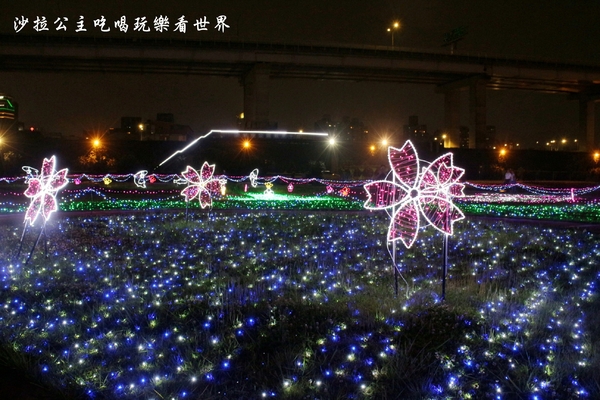 板橋蝴蝶公園：板橋景點/夜景『蝴蝶公園』9萬隻風車/光雕蝴蝶地景/IG打卡熱點/江子翠橫移門