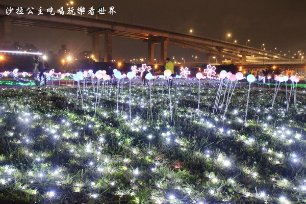 板橋蝴蝶公園：板橋景點/夜景『蝴蝶公園』9萬隻風車/光雕蝴蝶地景/IG打卡熱點/江子翠橫移門