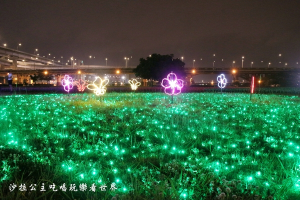 板橋蝴蝶公園：板橋景點/夜景『蝴蝶公園』9萬隻風車/光雕蝴蝶地景/IG打卡熱點/江子翠橫移門