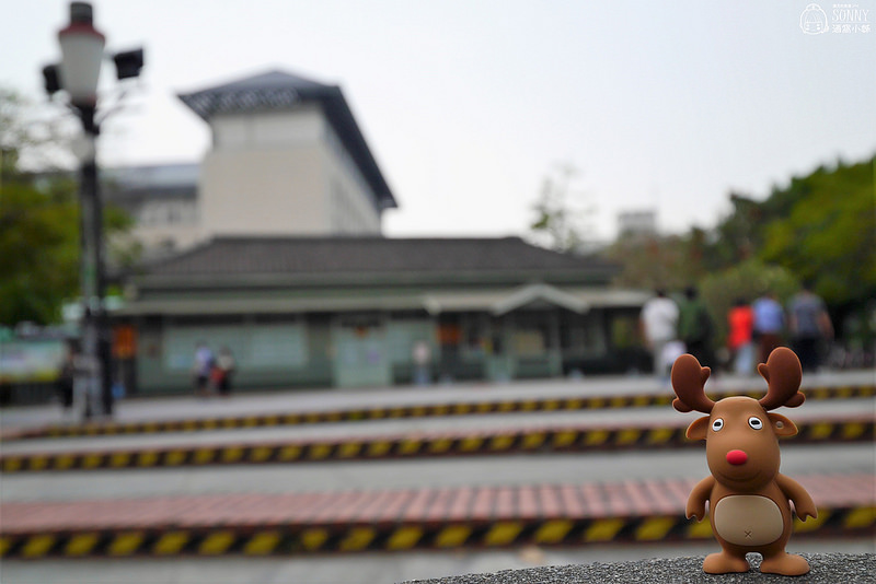 嘉義景點-沉睡森林(拍照/打卡)