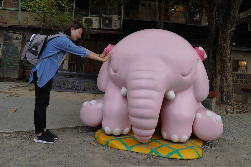 嘉義景點-沉睡森林(拍照/打卡)