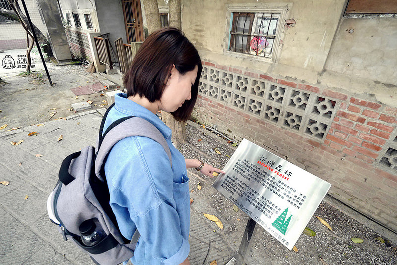 嘉義景點-沉睡森林(拍照/打卡)