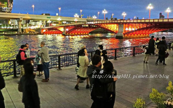 隅田川水上巴士：夜櫻船。隅田川。振袖舞孃..