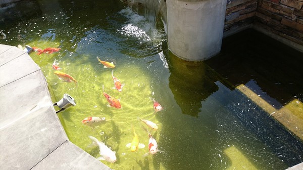 儷景花園渡假山莊：南投清境~儷景花園渡假山莊~享受美景的平價住宿~